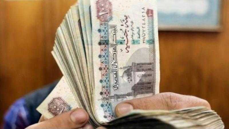 أستاذ اقتصاد: حزمة الحماية الاجتماعية تحسن الوضع المعيشي للمواطنين