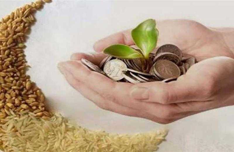 دار الإفتاء تعلن الحد الأدنى لقيمة زكاة الفطر وفدية الصيام لهذا العام