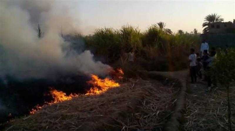 السيطرة على حريق بمحصول قصب في سوهاج