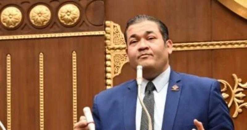 نائب التنسيقية محمد عمارة يطالب بإنشاء المجلس الوطني للتسويق