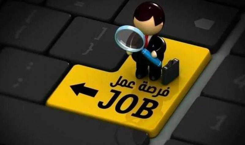 توفير 1837 فرصة عمل للشباب داخل 20 مصنعًا وشركة في الشرقية