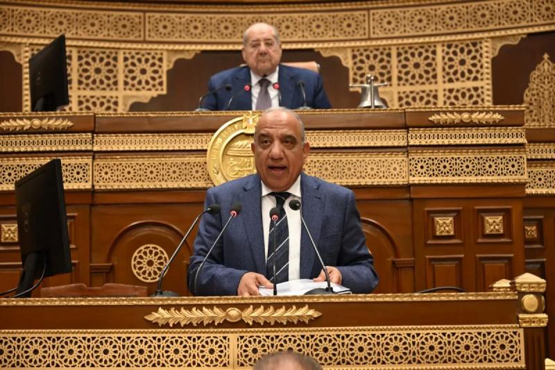 وزير الكهرباء أمام ”الشيوخ”: 30% نسبة الإنجاز فى مشروع الضبعة ويصل لـ50% العام المقبل