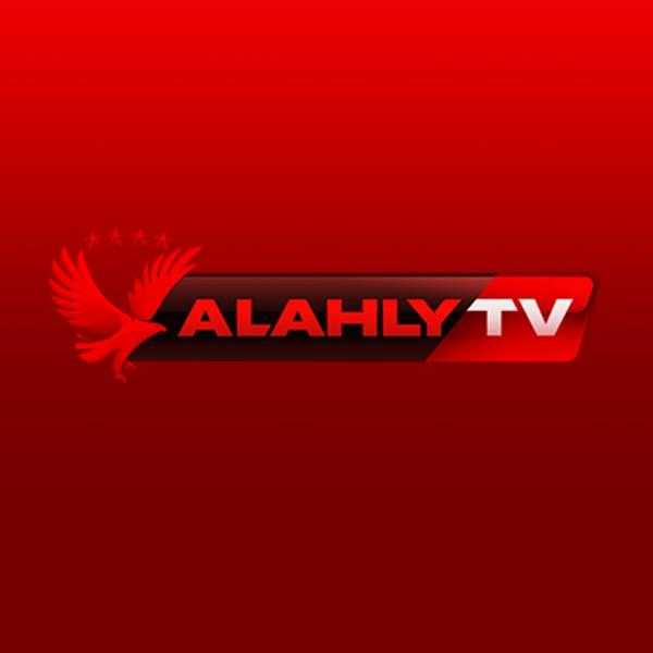 الأعلى للإعلام: إلزام قناة الأهلي بأداء 100 ألف جنيه ومنع ظهور شوبير لمدة أسبوعين
