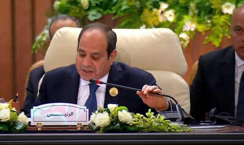 شريهان القشاوي: كلمة الرئيس السيسي في القمة العربية تؤكد دعم مصر الثابت للقضية الفلسطينية