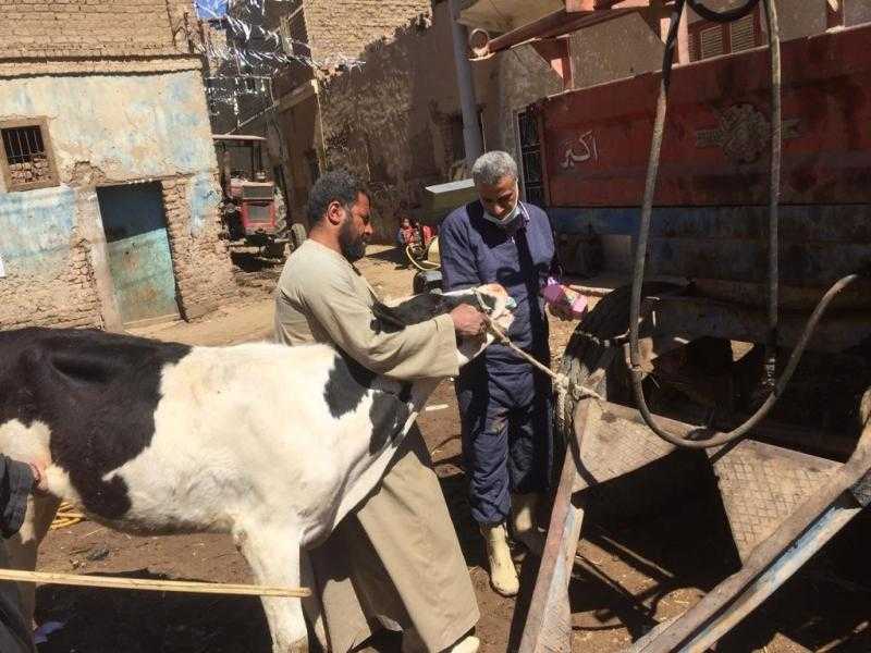 فحص 5131 رأس ماشية وطيرا خلال قافلة بيطرية في قرية شوني بالغربية