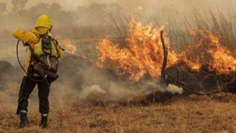 اليابان: السيطرة على حرائق الغابات المستعرة فى ”أوفوناتو” منذ 11 يوما