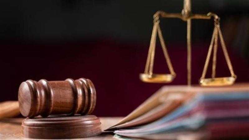 تأجيل محاكمة بلوجر شهيرة لاتهامها بجريمة مخلة لجلسة 3 أبريل