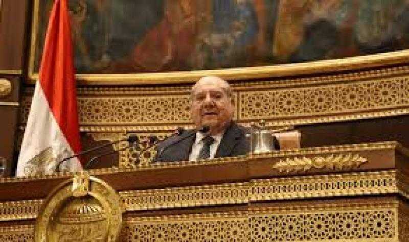 رئيس مجلس الشيوخ يطالب الحكومة ببدء تسجيل العقارات بالمدن الجديدة