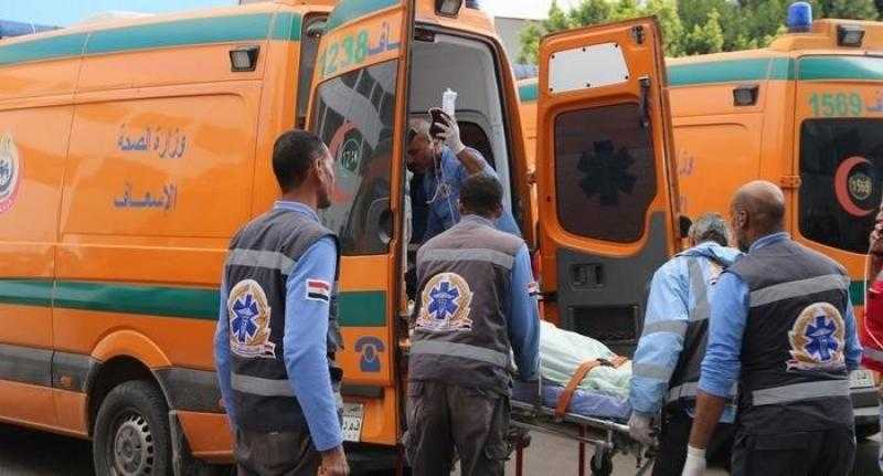 مصرع 4 وإصابة 11 آخرين في انقلاب سيارة ميكروباص من أعلى كوبري بهبشين بطريق الفيوم بني سويف