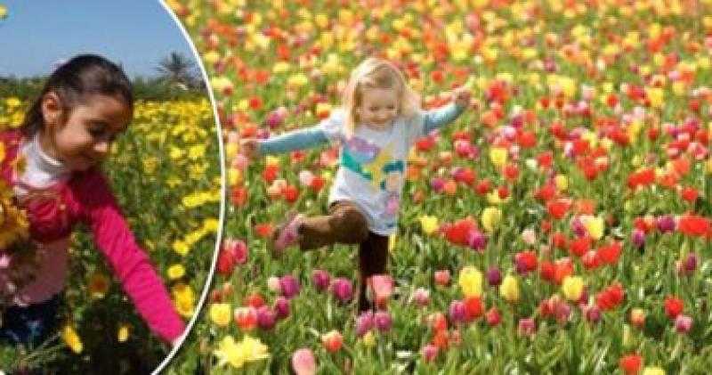 المعهد القومى للبحوث الفلكية: فصل الربيع يستمر 92 يومًا و17 ساعة و35 دقيقة