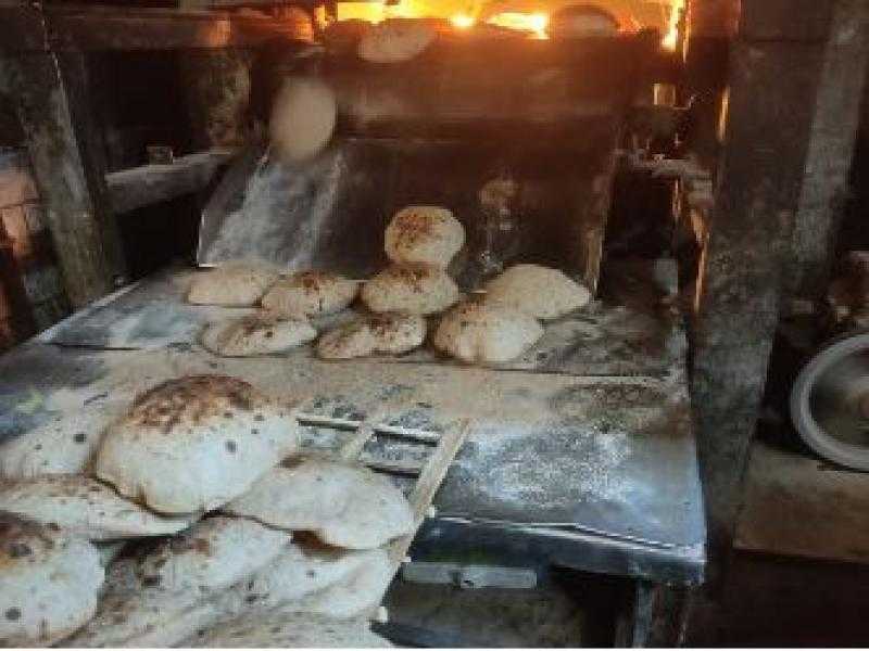 تموين الإسكندرية: تحرير 98 محضرا خلال حملات على الأسواق والمخابز