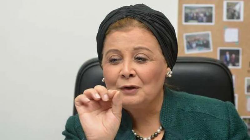 عبلة الألفي: «الألف يوم الذهبية» استراتيجية مصرية متكاملة لتحسين الصحة الإنجابية وتعزيز التنمية السكانية