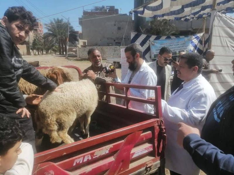 محافظ الدقهلية: تحصين وعلاج أكثر من 342 ألف رأس ماشية وأغنام وطيور