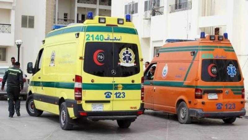 بالأسماء.. إصابة 15 شخصا في انقلاب ربع نقل بصحراوي ملوي المنيا