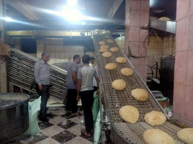 تحرير 10 محاضر لمخالفات تموينية في كفرالشيخ