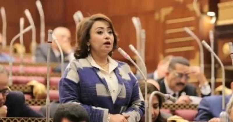 أمين سر حقوق الإنسان بالشيوخ: موقف مصر من القضية الفلسطينية ثابت ولن يتغير
