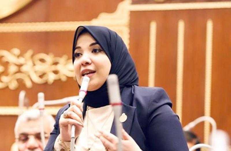 النائبة دينا هلالي: احتشاد المصريين في الميادين يؤكد وقوفهم مع القيادة السياسية في دعم الفلسطينيين