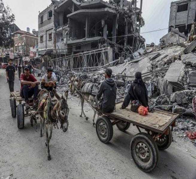 الإعلام الحكومي بغزة: الاحتلال أخرج 60 تكية طعام عن الخدمة ودمر 1000 مسجد و3 كنائس