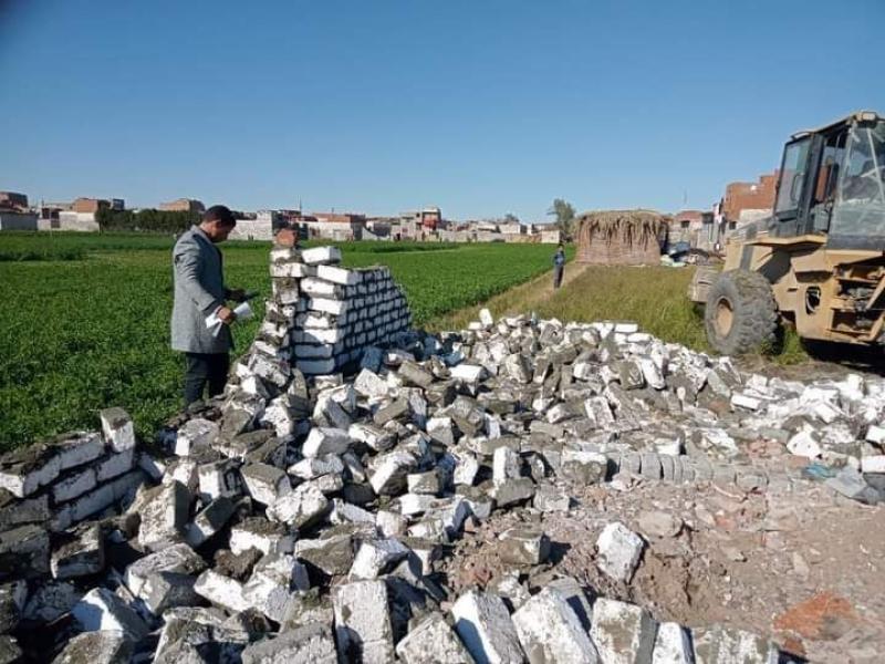 إزالة 17 تعديًا على أملاك الدولة في محافظة البحيرة