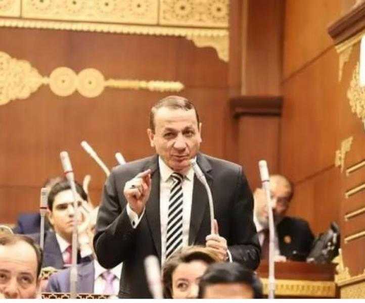 رئيس برلمانية حماة الوطن: الشركات التجارية أحد دعائم الاقتصاد الوطني ويطالب بتسهيل الإجراءات