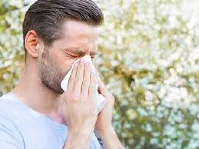 في فصل الربيع.. إزاى تقلل أعراض الحساسية الموسمية