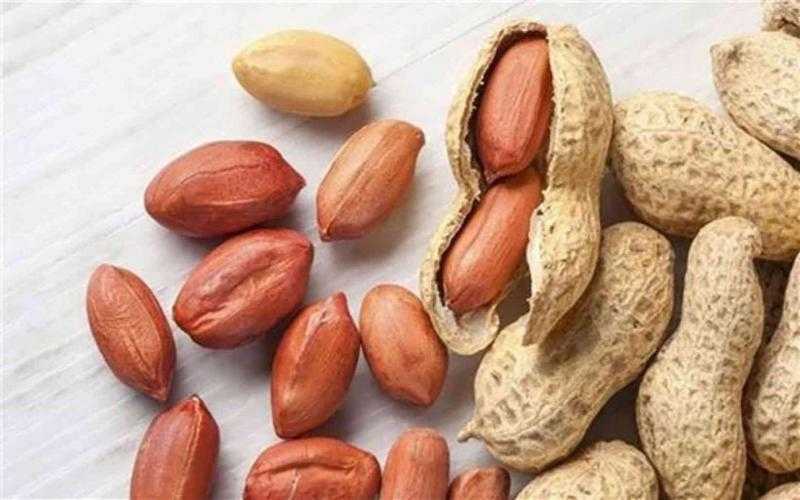 تصدير 45 ألف طن من الفول السودانى بقيمة 70 مليون دولار