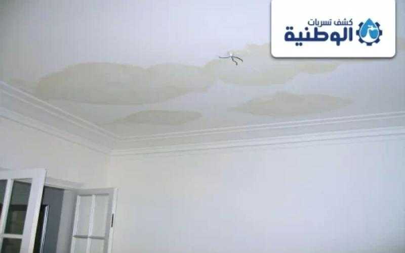 كشف تسربات المياه بالرياض: الحلول الذكية للمشاكل الخفية