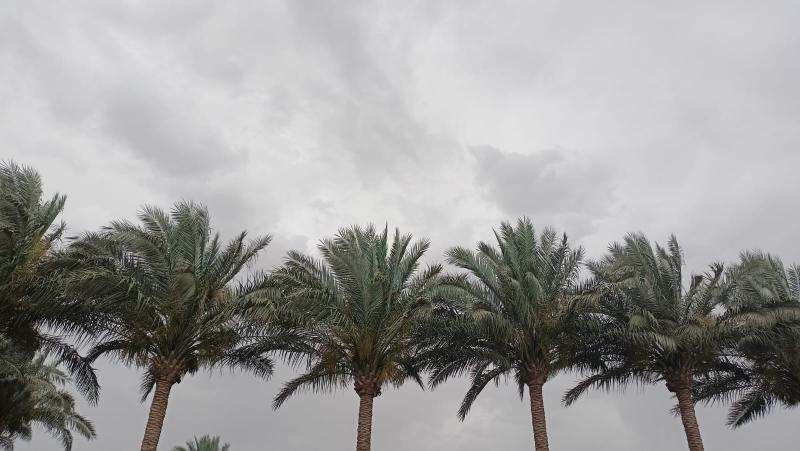 غيوم ورياح.. الطقس في محافظة الغربية اليوم الثلاثاء