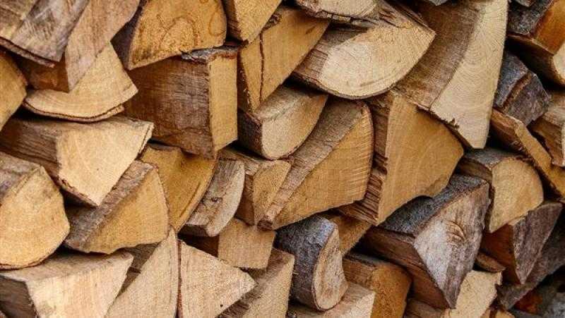 أسعار الخشب اليوم الثلاثاء 8 - 4 - 2025