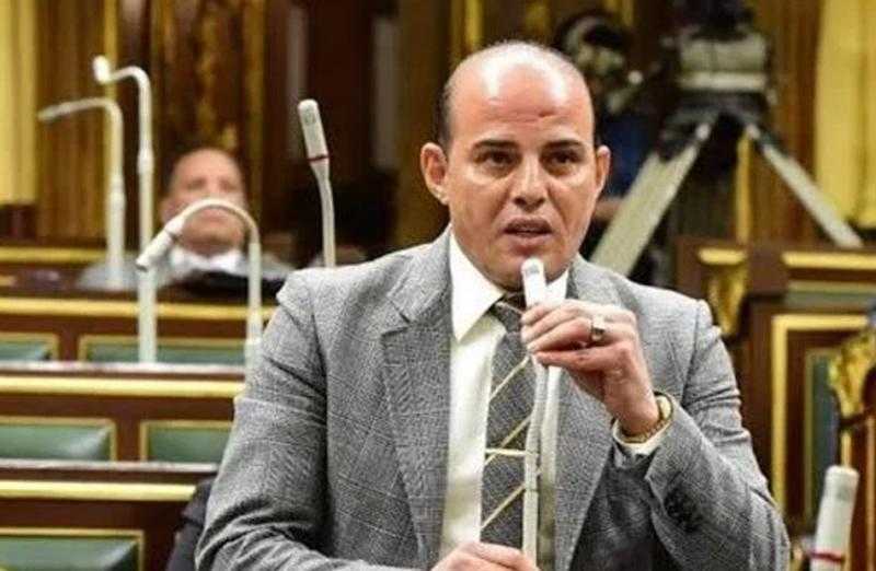 النائب عمرو القطامي: حشود المصريين الرافضة للتهجير في العريش رسالة للعالم لموقف مصر الراسخ من القضية