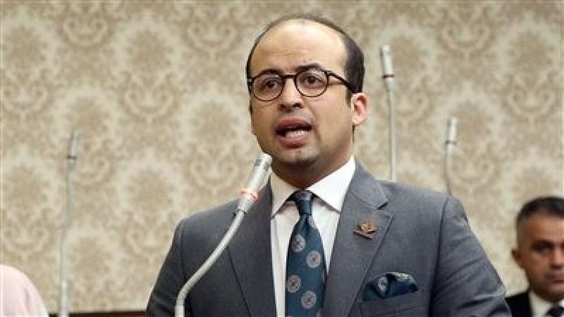 نائب التنسيقية: زيارة ماكرون للعريش تؤكد دعم فرنسا للجهود المصرية لوقف الحرب