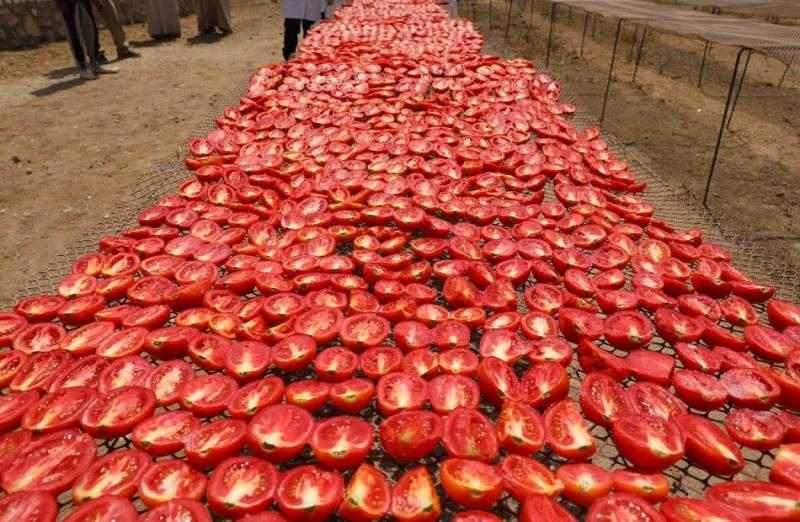 الأقصر تستعد لطرح وتشغيل مجمع الصناعات الغذائية والتعبئة لتجفيف الطماطم بقرية الكيمان