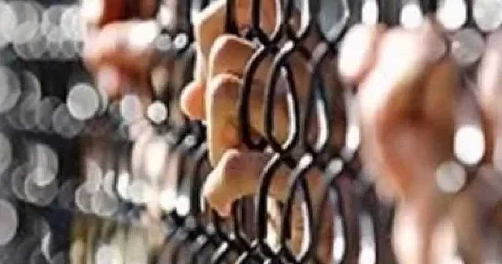 الحكم في إعادة محاكمة 3 متهمين بالتحريض على العنف.. 17 أكتوبر