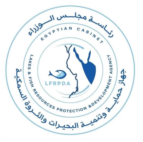 جهاز حماية وتنمية البحيرات: موسم الصيد الحالي يستهدف إنتاج ٥٧٥ طن أسماك تقريبًا