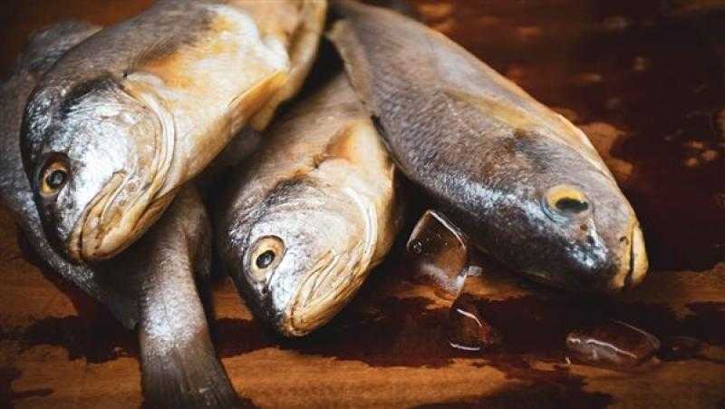 أسعار السمك اليوم الجمعة 11 - 4 - 2025