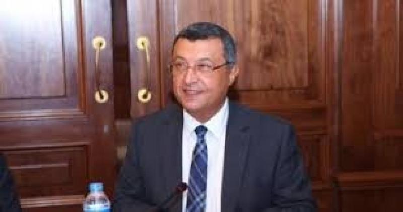 وزير البترول الأسبق: الدعم السنوي للطاقة في مصر يقترب من 17 مليار دولار