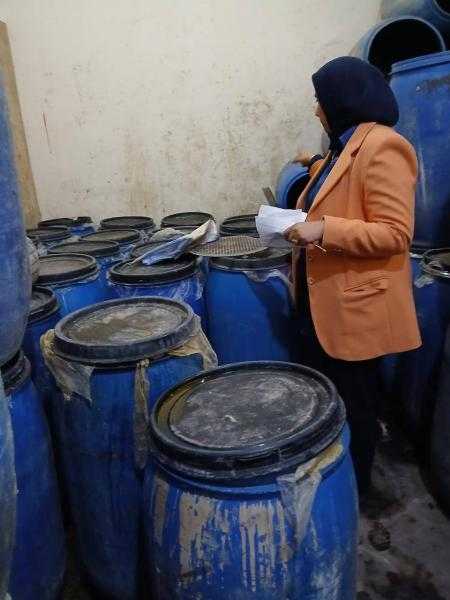 ضبط 6 أطنان أسماك ورنجة وفسيخ ولحوم ودجاج مخالفة للمواصفات بالدقهلية