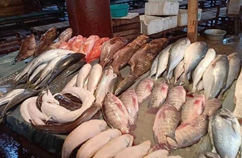 انخفاض أسعار السمك البلطي والمأكولات البحرية بالأسواق اليوم الأحد 13 أبريل