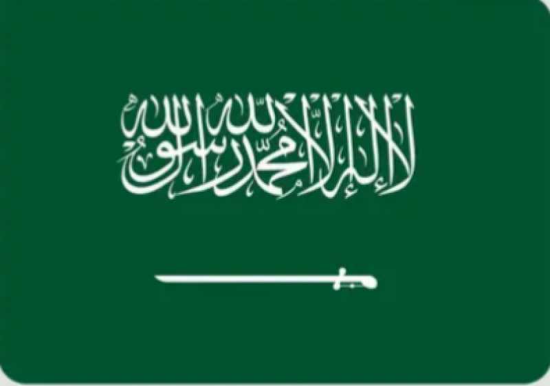 السعودية تدين الجريمة الشنيعة التي ارتكبتها قوات الاحتلال الإسرائيلي في مستشفى المعمداني بغزة