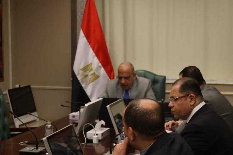 عبر الفيديو كونفرانس.. وزير الكهرباء يبحث مع مسئولي المفوضية الأوروبية سبل دعم التعاون والشراكة