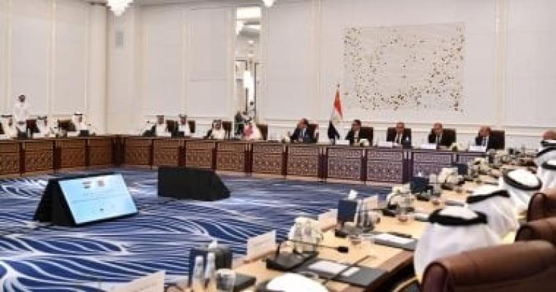 نائب: جولة الرئيس السيسى الخليجية تفتح آفاقا اقتصادية جديدة لدعم مصر