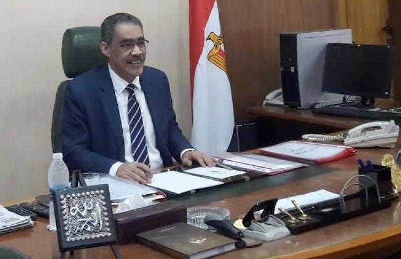ضياء رشوان: الدور المصري لا بديل عنه في القارة الإفريقية