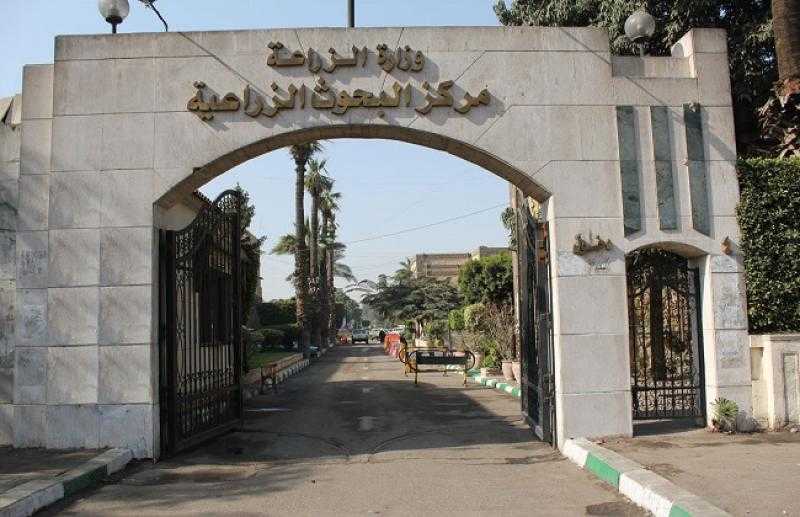 ”بحوث الإرشاد الزراعي” ينظم ورشة عمل حول تطبيق نظام الزراعة المتكاملة لتحقيق أهداف التنمية المستدامة