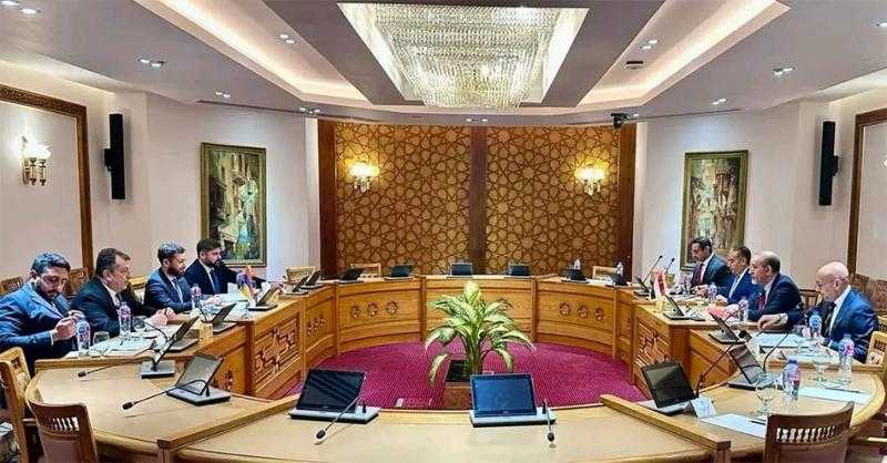 انعقاد جولة المشاورات السياسية بين مصر وأرمينيا