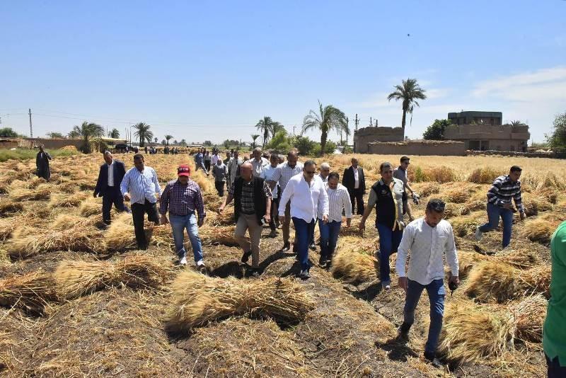 محافظ أسيوط يشهد بدء موسم حصاد القمح بأحد الحقول بقرية درنكة.. صور