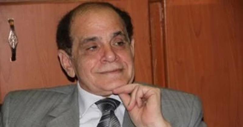 فقيه دستورى: زيادة المقاعد البرلمانية غير حتمية دستوريا ويراعى التمثيل العادل