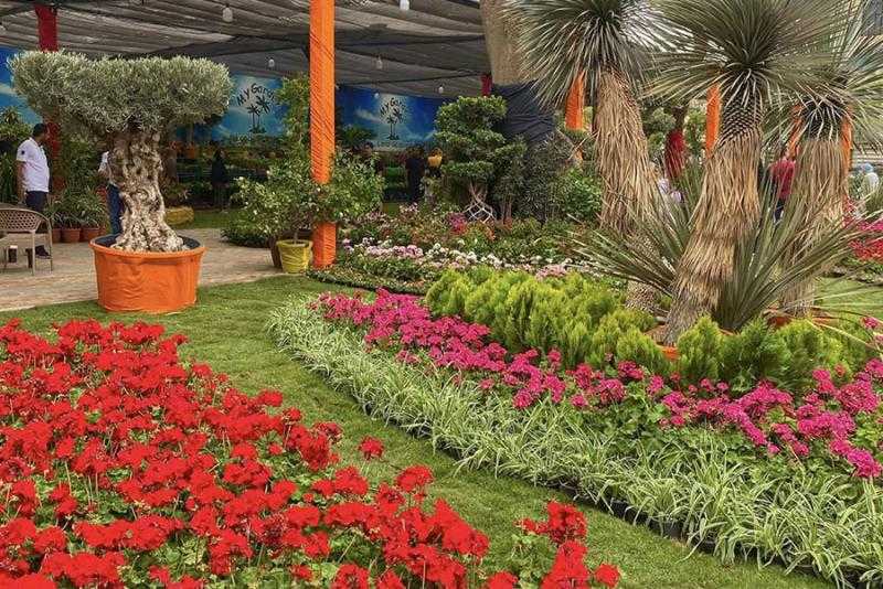 بعد غد.. افتتاح معرض زهور الربيع بالمتحف الزراعي بالدقي