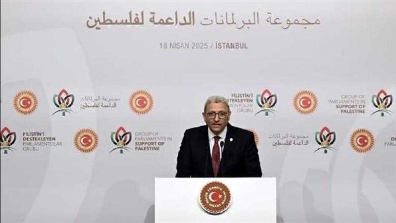 وكيل النواب يُشدد على الرفض المصري القاطع لأية أطروحات تهدف لتهجير الفلسطينيين