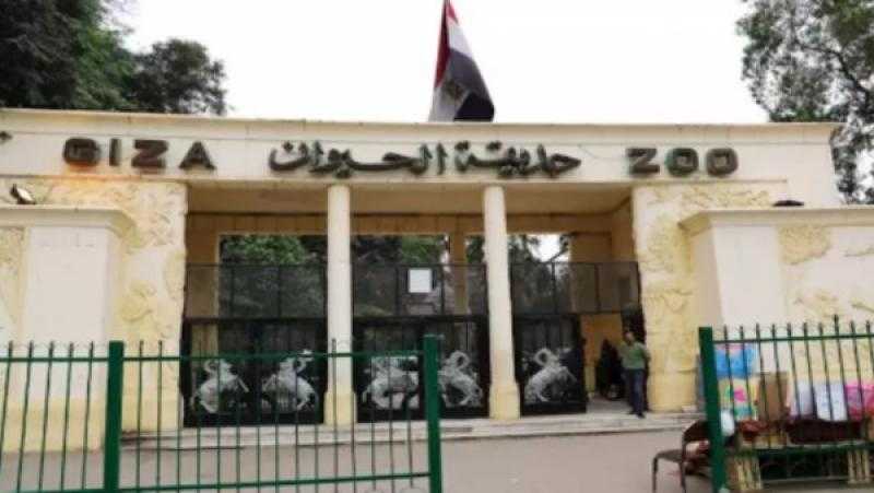 الزراعة تكشف موقف حديقة الحيوان بالجيزة من استقبال الزوار في شم النسيم
