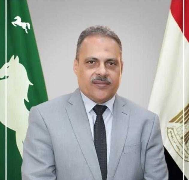 محافظ الشرقية يتابع أعمال إنشاء حاجز نيو جيرسي بنزلة الطريق الأوسطي